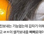 [NCT칠프] 막<b>냉이</b> 이거 실화야?