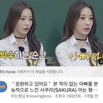 <b>사쿠라</b> 이거 완전 애니 클리셰 같다