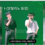 [스키즈] 보기 드문 그의...