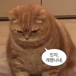 연하남친이랑 헤어졌다 ㅅㅂ..