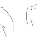 20kg 상체 차이 알려줌