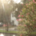 <b>연회장</b> 알바 ㅈㄴ 빡셈… ㄹㅇ