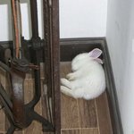 [드루와] 근데 이거 그냥 호기심인데