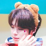 아이돌판의 미남 <b>곰들</b>