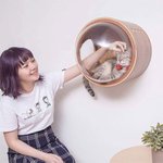 <b>호기심</b> 자극하는 독창적인 디자인