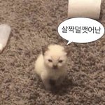 [NCT칠프] 하<b>암</b>
