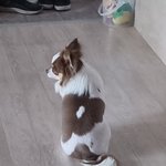 [귀여운<b>동물</b>] <b>동물</b>도 사람 가린다