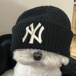 남친이 <b>여사친</b>들이랑 찍은 사진 올리면