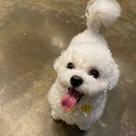 [댓글부탁해] 남자는 <b>F</b> 만나라