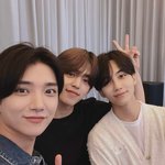 [세븐틴] 아 저 뽀<b>작</b> 튀어나온 손이 너무 귀엽다ㅠㅠ