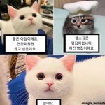 알바 힘든데 좋음
