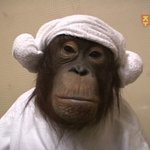 [NCT칠프] 오늘 <b>인장</b> 진짜 기다린다