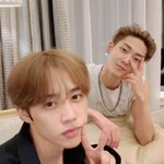 [더보이즈] 선켑 븨앱 담번에두 해조쓰면