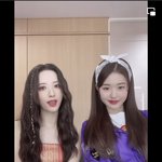 [모두드루와] 와진심 보나랑 <b>원영</b>