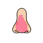 코성형 잘아는 사람