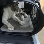 [하소연] 천국으로...