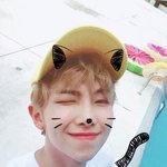 [모두드루와] 고양이가 <b>아이돌이</b> 됐네