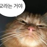 [댓글부탁해] 중학교 졸사 <b>hot</b> 캔디 어땡