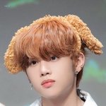 [더보이즈] 쪼<b>푸</b>