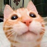 남친 가오잡을때마다 정신이 <b>아득</b>해짐