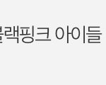 갤련들이 특히 싫어하는 아이돌 이거 아닌거같은데