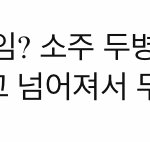 [댓글부탁해] 여자 <b>이</b> 정도면 <b>알</b>쓰다 추반