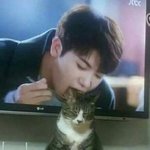 <b>절묘</b>한 순간에 고양이