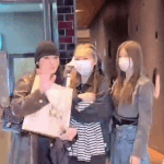 노제에 대해 그때 알아봤어야했어