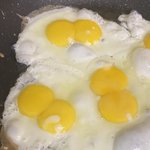 [드루와] 나 알바하는데 <b>쌍란</b> 5개 봄