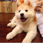 [드루와] 카드에 돈 넣으려면 통장 필요한가