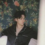 인형같은 미모로 공격하는 <b>혼혈</b>계 아이돌