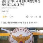 [이것좀봐줘] 20대 남성이 미성년자 성폭행함
