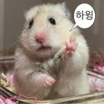 [드루와] 제일 꼬시기 어려운 <b>유형</b>이