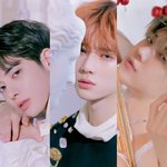 [TXT] <b>오타쿠</b> 지금 우 는중