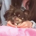 나만 밖에 나갔다오면 코딱지 <b>오짐</b>?