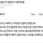 판놈들 <b>페미인척</b> ㅈㄴ하더라
