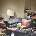 [스키즈] 댕댕이 둘과 뽁<b>아리</b>