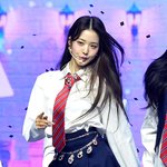장원영 보면 톱스타의 삶 직관하는 거 같아서 재밌는데