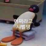 [풀햄보이즈] 한명이 한국 물흐린거 <b>짜증남</b>