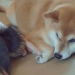 [NCT칠프] <b>젤리</b> 만지는거 개귀엽네
