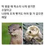 잠 잘오는 <b>꿀팁</b> 알려줌