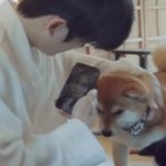 [NCT칠프] 이 사진 진짜 짱 귀여움