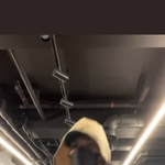 [NCT칠프] 안무가 ㅂㄷ님 <b>릴스에</b> 용이