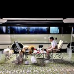 애견<b>동반</b> 캠핑!