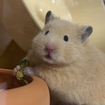 주사 <b>지혈</b> 안햇다고 피가 ㅈㄴ 흐름????