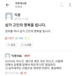 [댓글부탁해] 나 인하대 <b>재학생</b>인데