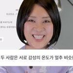 intj들 n중에서 젤 현실적인 편인가?