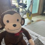 내 <b>애착</b>인형 귀엽지