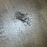[댓글부탁해] 다리 <b>한쪽</b> 제모하고 나온 털 볼 사람