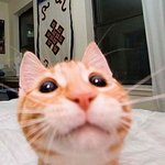 감자튀김 이거 <b>상한</b>거임?